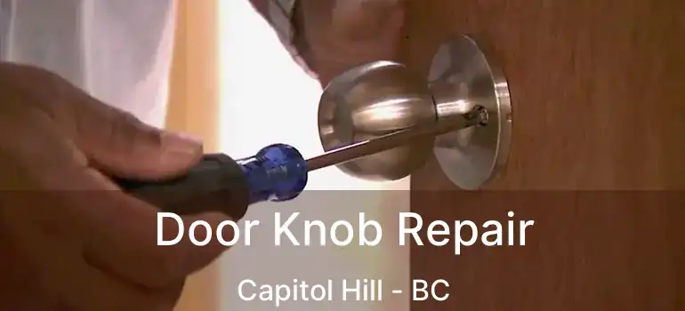  Door Knob Repair Capitol Hill - BC