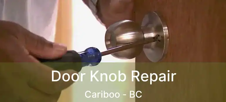  Door Knob Repair Cariboo - BC