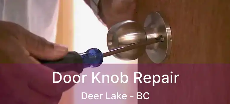  Door Knob Repair Deer Lake - BC