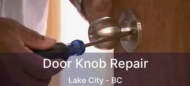  Door Knob Repair Lake City - BC