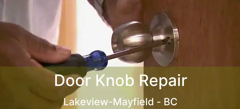  Door Knob Repair Lakeview-Mayfield - BC