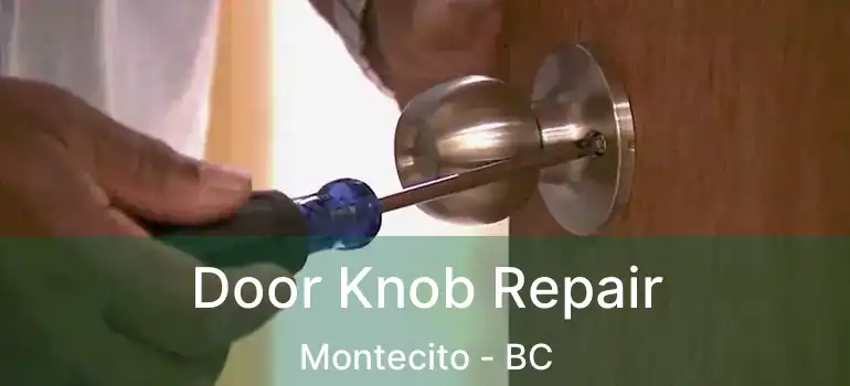  Door Knob Repair Montecito - BC