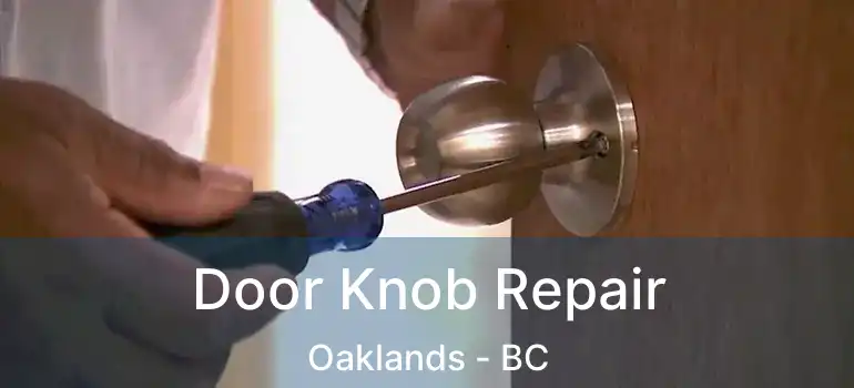  Door Knob Repair Oaklands - BC