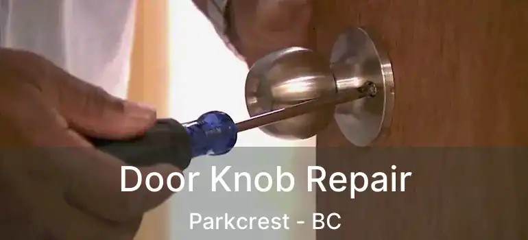  Door Knob Repair Parkcrest - BC