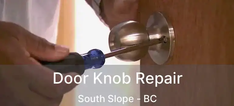  Door Knob Repair South Slope - BC