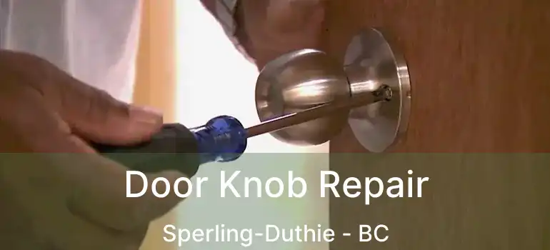  Door Knob Repair Sperling-Duthie - BC