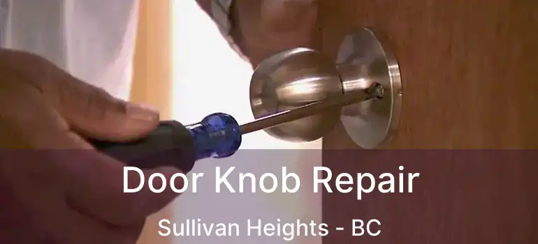  Door Knob Repair Sullivan Heights - BC