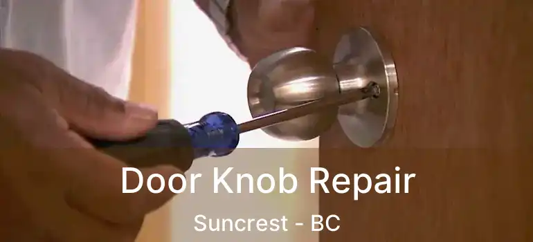  Door Knob Repair Suncrest - BC