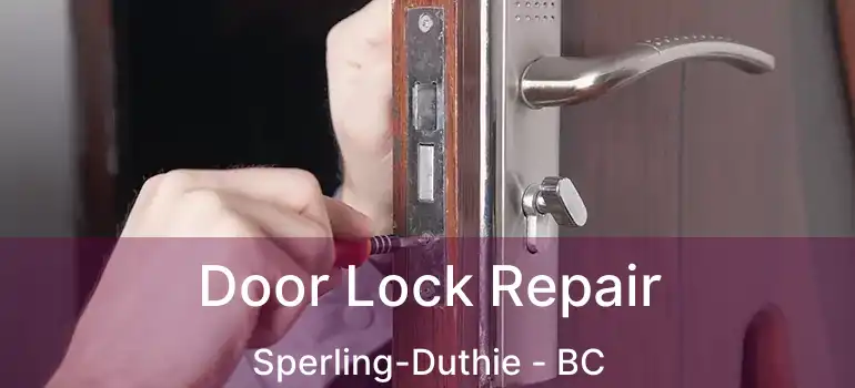  Door Lock Repair Sperling-Duthie - BC