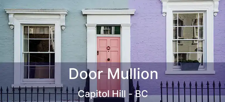  Door Mullion Capitol Hill - BC