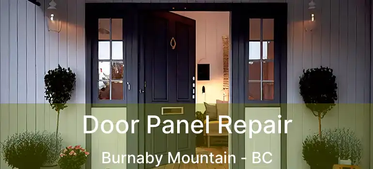  Door Panel Repair Burnaby Mountain - BC