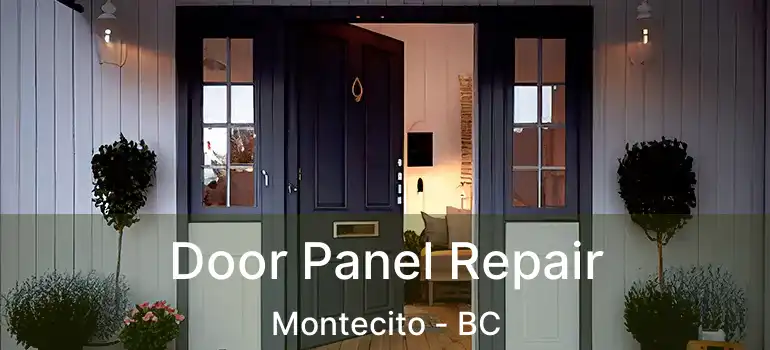  Door Panel Repair Montecito - BC