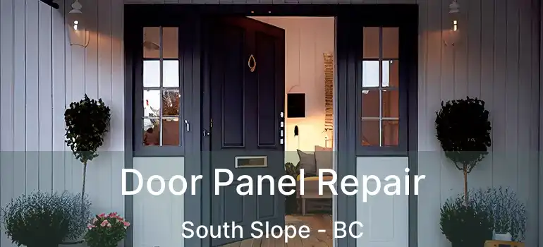  Door Panel Repair South Slope - BC