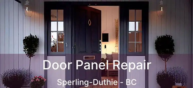  Door Panel Repair Sperling-Duthie - BC