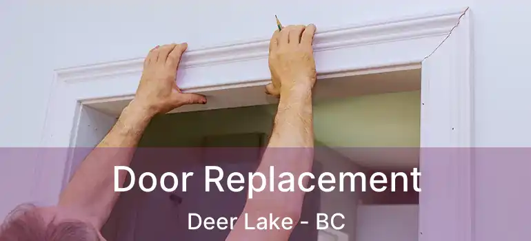  Door Replacement Deer Lake - BC