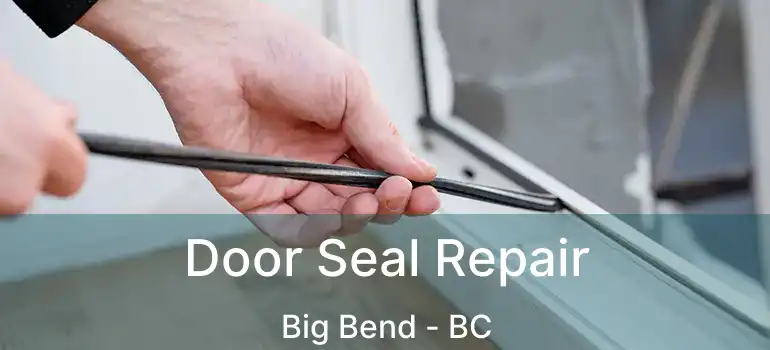  Door Seal Repair Big Bend - BC