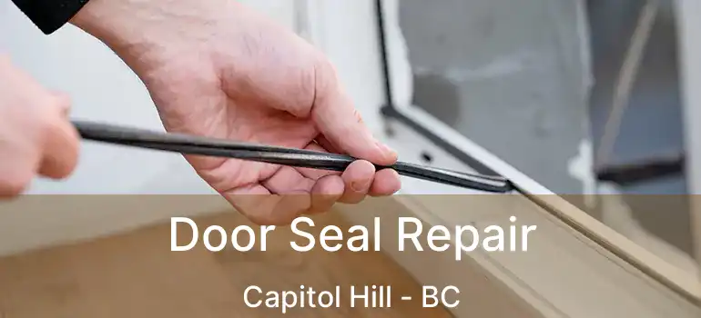  Door Seal Repair Capitol Hill - BC