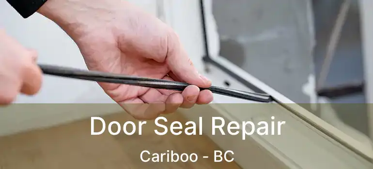  Door Seal Repair Cariboo - BC