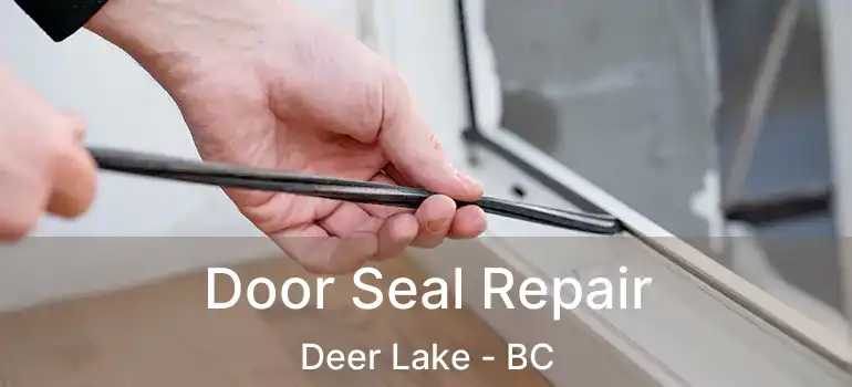  Door Seal Repair Deer Lake - BC