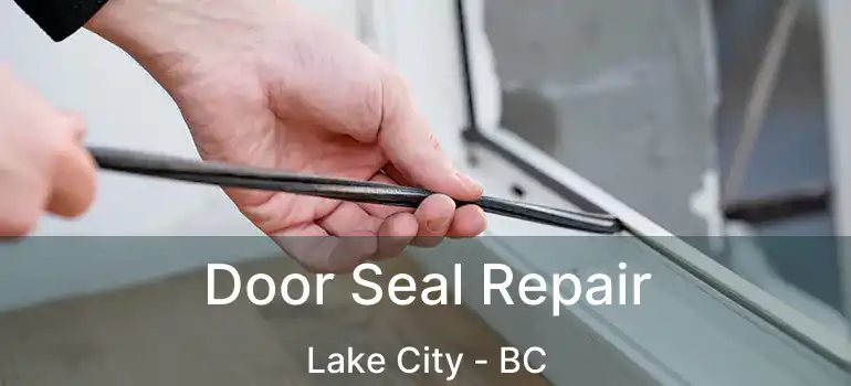  Door Seal Repair Lake City - BC