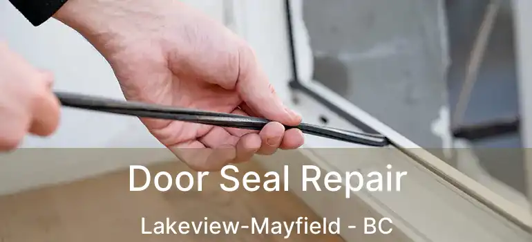  Door Seal Repair Lakeview-Mayfield - BC