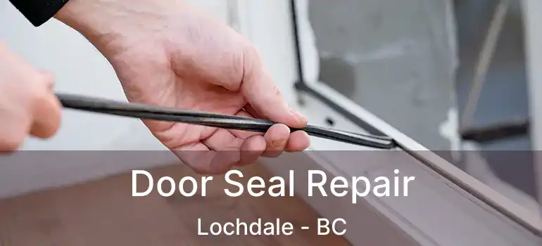  Door Seal Repair Lochdale - BC