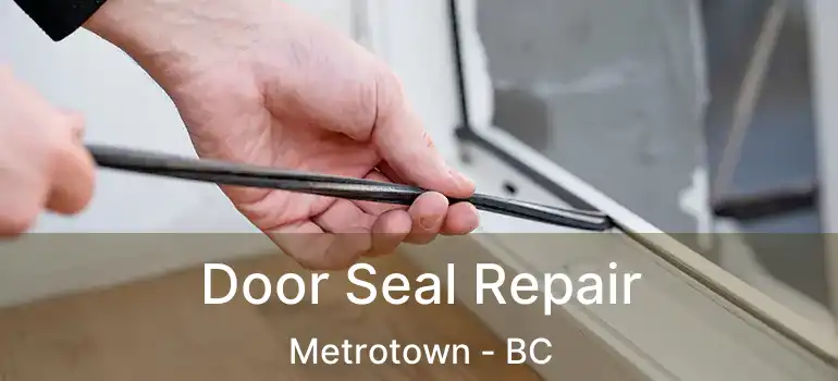  Door Seal Repair Metrotown - BC