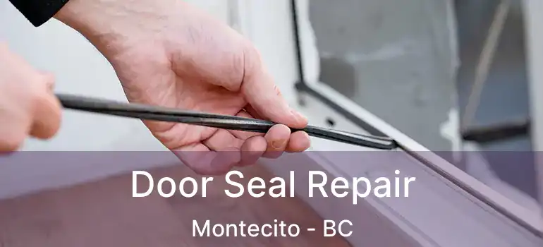  Door Seal Repair Montecito - BC