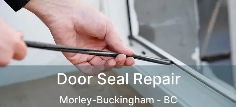  Door Seal Repair Morley-Buckingham - BC