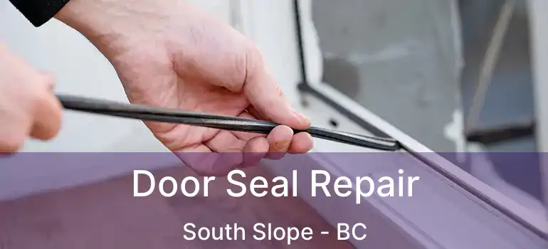  Door Seal Repair South Slope - BC