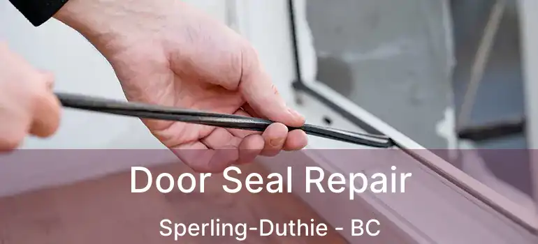  Door Seal Repair Sperling-Duthie - BC