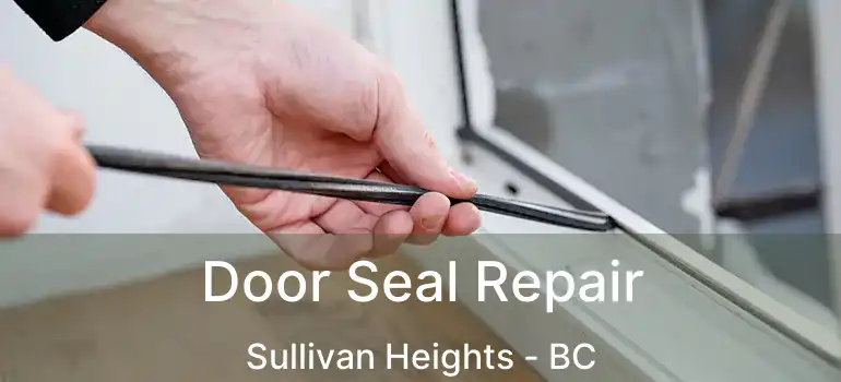  Door Seal Repair Sullivan Heights - BC