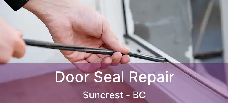  Door Seal Repair Suncrest - BC