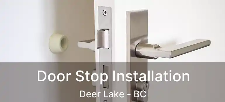  Door Stop Installation Deer Lake - BC