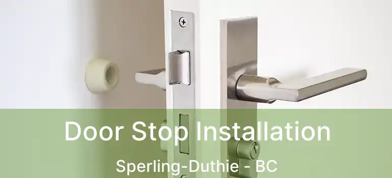  Door Stop Installation Sperling-Duthie - BC