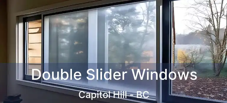 Double Slider Windows Capitol Hill - BC