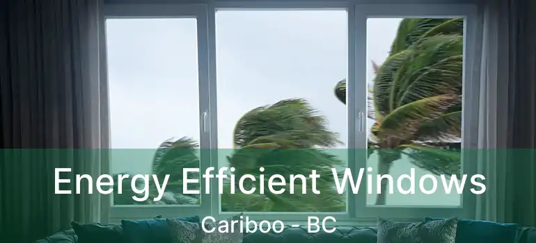  Energy Efficient Windows Cariboo - BC