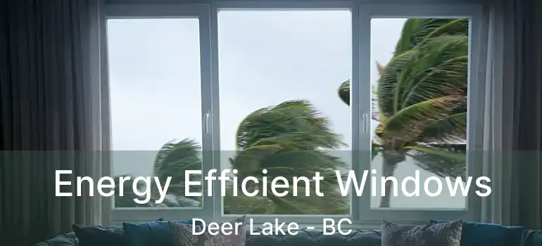  Energy Efficient Windows Deer Lake - BC