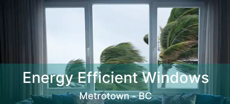  Energy Efficient Windows Metrotown - BC