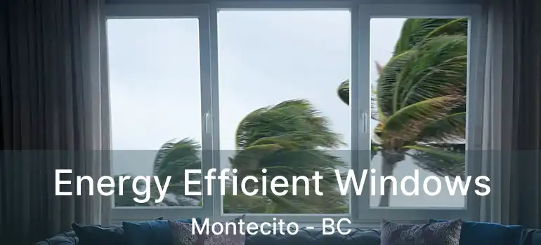  Energy Efficient Windows Montecito - BC