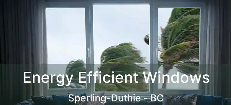 Energy Efficient Windows Sperling-Duthie - BC