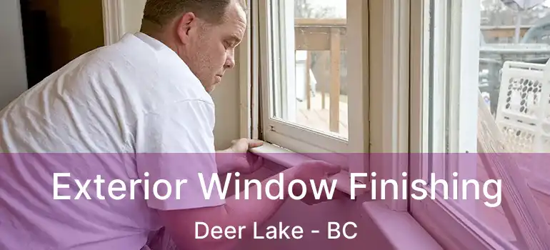  Exterior Window Finishing Deer Lake - BC