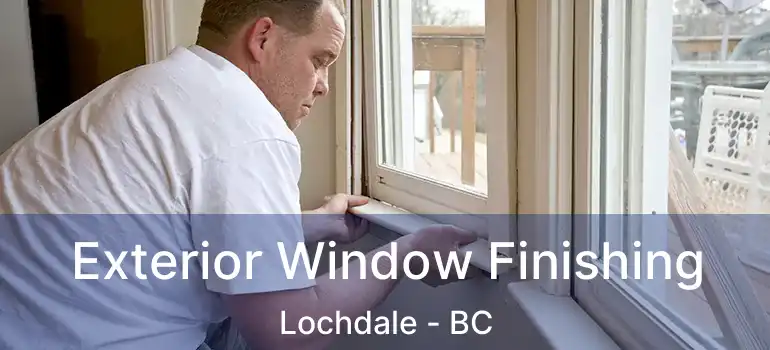  Exterior Window Finishing Lochdale - BC