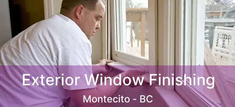  Exterior Window Finishing Montecito - BC