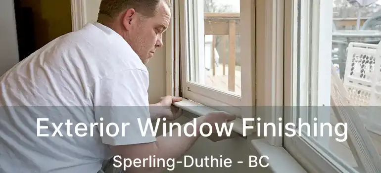  Exterior Window Finishing Sperling-Duthie - BC