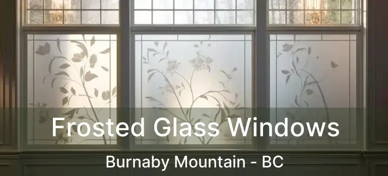  Frosted Glass Windows Burnaby Mountain - BC