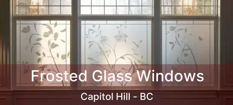  Frosted Glass Windows Capitol Hill - BC