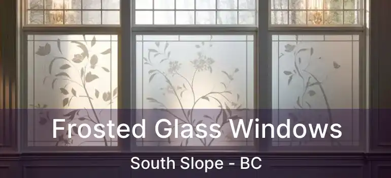  Frosted Glass Windows South Slope - BC