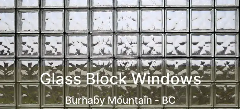  Glass Block Windows Burnaby Mountain - BC