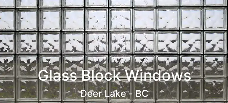  Glass Block Windows Deer Lake - BC